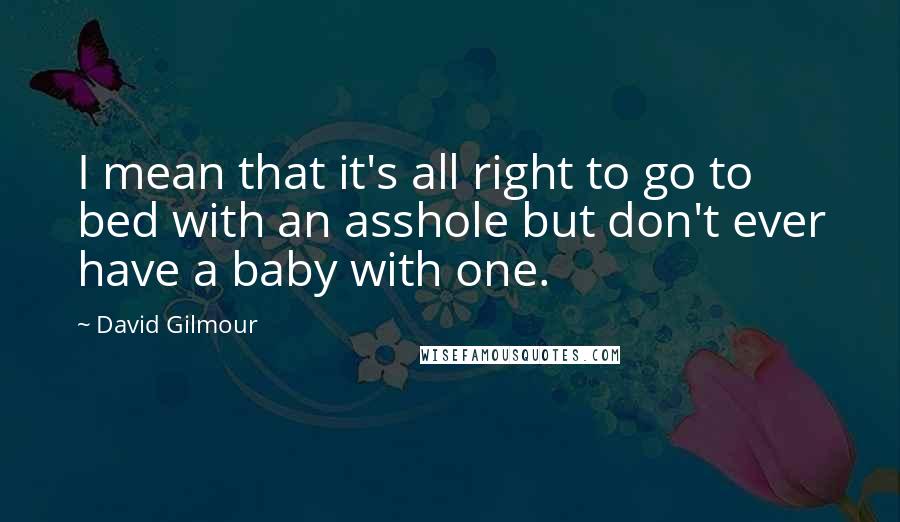 David Gilmour Quotes: I mean that it's all right to go to bed with an asshole but don't ever have a baby with one.