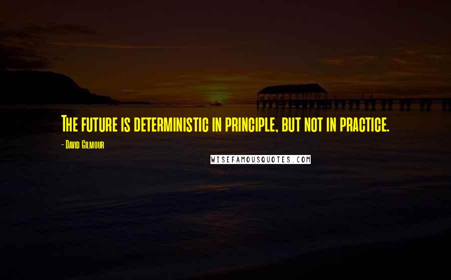 David Gilmour Quotes: The future is deterministic in principle, but not in practice.