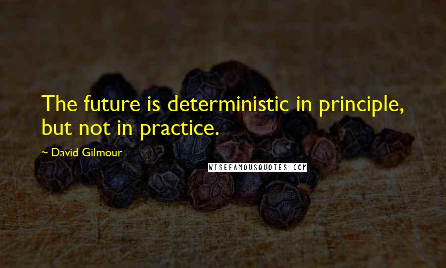 David Gilmour Quotes: The future is deterministic in principle, but not in practice.