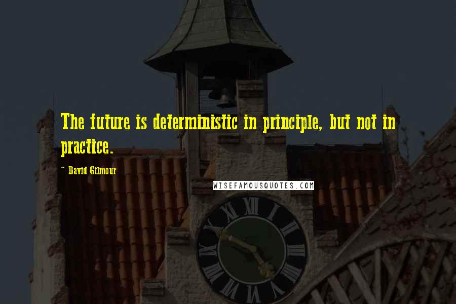 David Gilmour Quotes: The future is deterministic in principle, but not in practice.