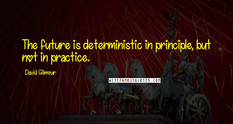 David Gilmour Quotes: The future is deterministic in principle, but not in practice.