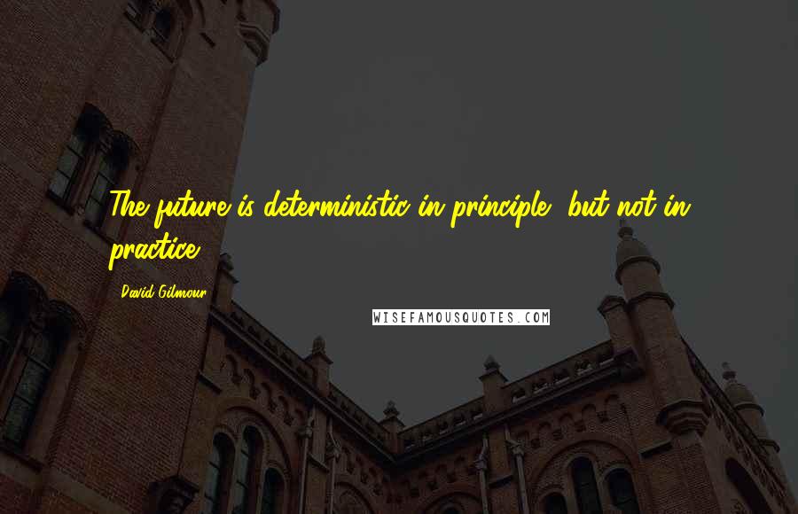 David Gilmour Quotes: The future is deterministic in principle, but not in practice.