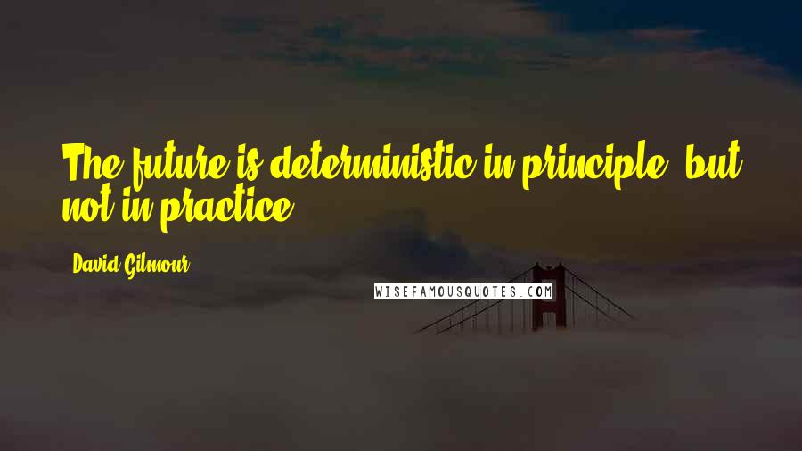 David Gilmour Quotes: The future is deterministic in principle, but not in practice.