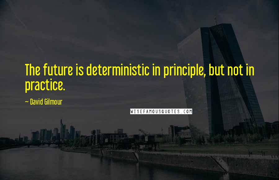 David Gilmour Quotes: The future is deterministic in principle, but not in practice.