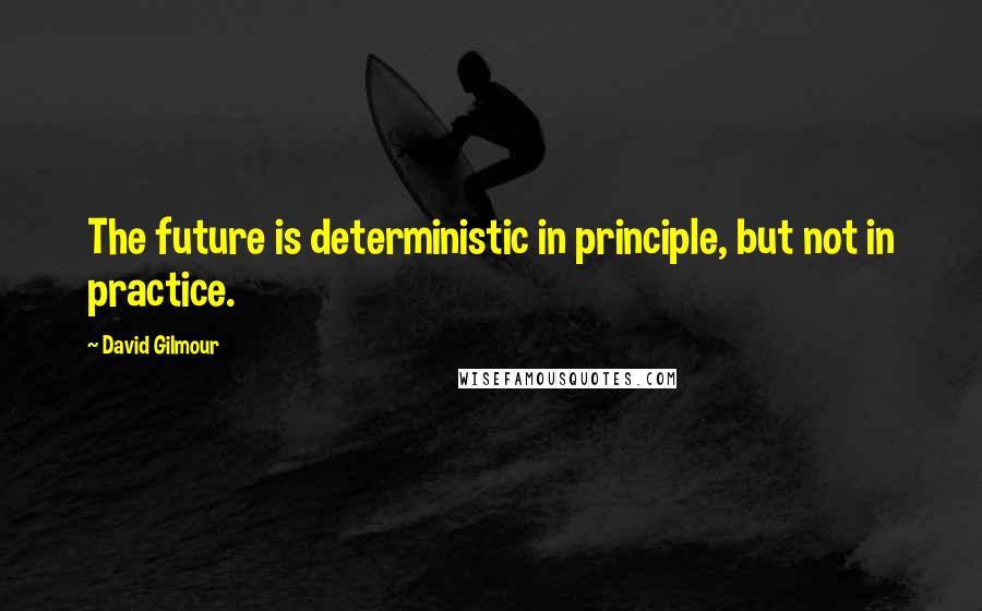 David Gilmour Quotes: The future is deterministic in principle, but not in practice.