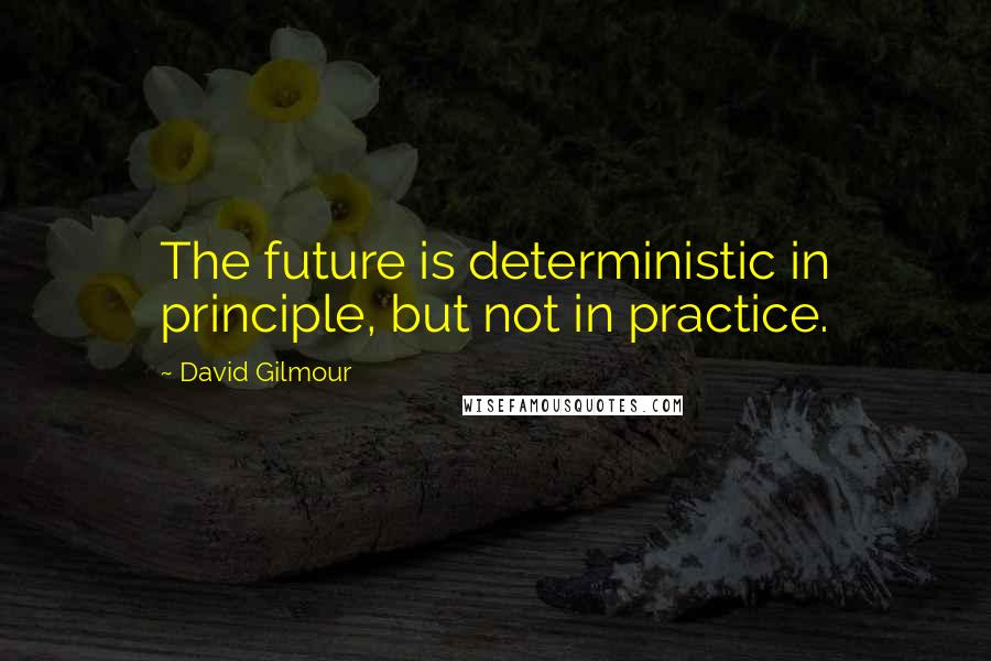 David Gilmour Quotes: The future is deterministic in principle, but not in practice.