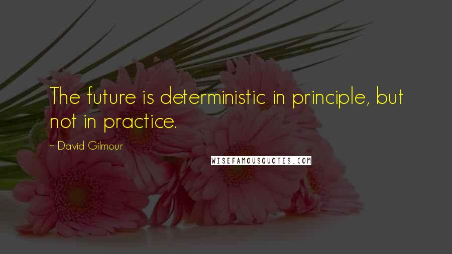 David Gilmour Quotes: The future is deterministic in principle, but not in practice.