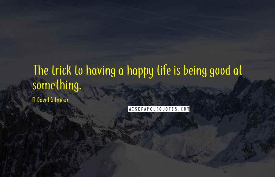 David Gilmour Quotes: The trick to having a happy life is being good at something.