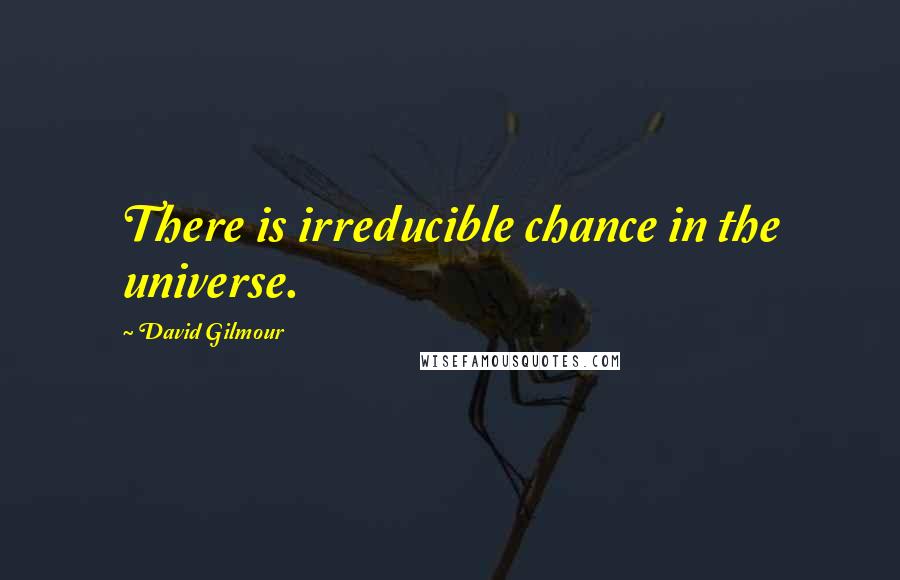 David Gilmour Quotes: There is irreducible chance in the universe.