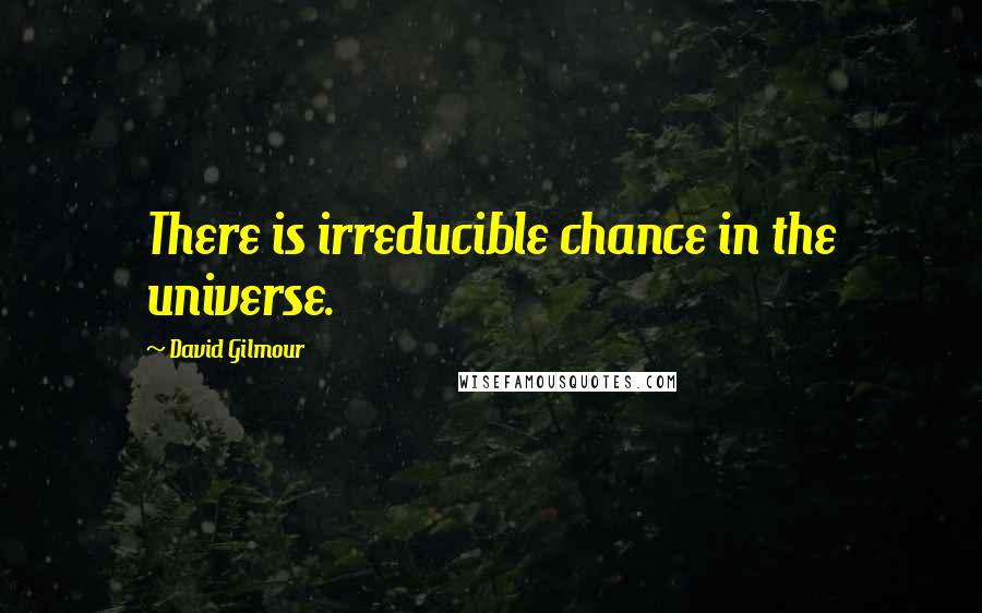 David Gilmour Quotes: There is irreducible chance in the universe.