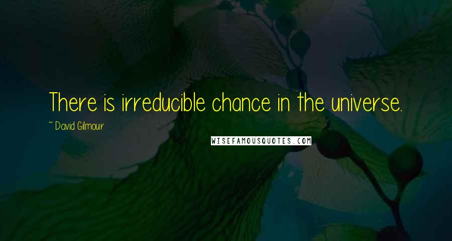 David Gilmour Quotes: There is irreducible chance in the universe.