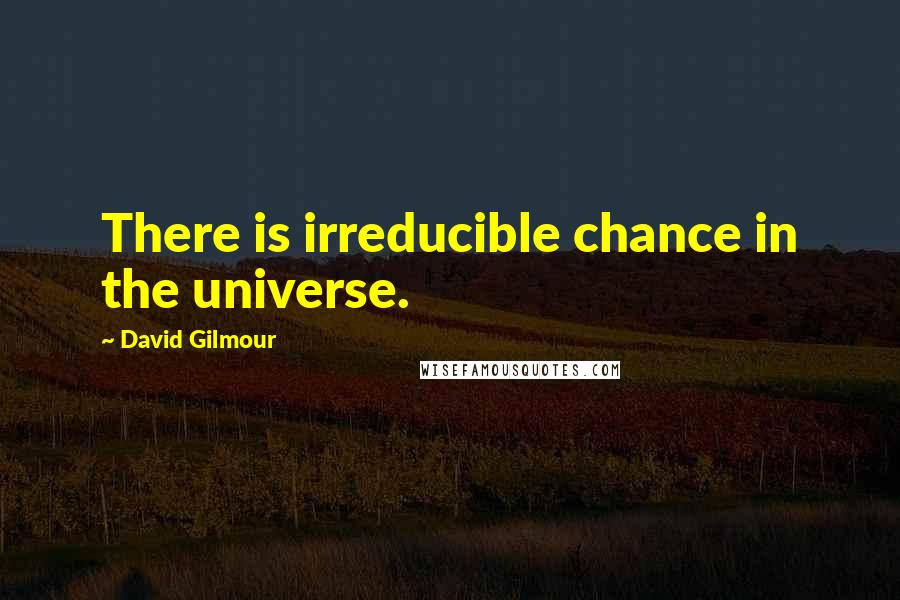 David Gilmour Quotes: There is irreducible chance in the universe.