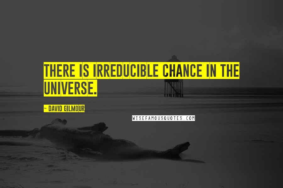 David Gilmour Quotes: There is irreducible chance in the universe.