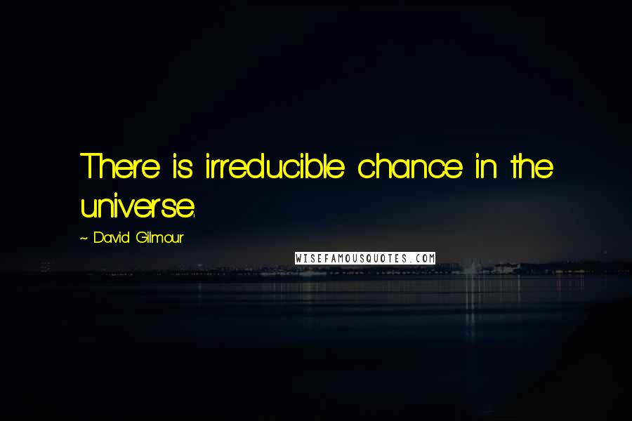 David Gilmour Quotes: There is irreducible chance in the universe.