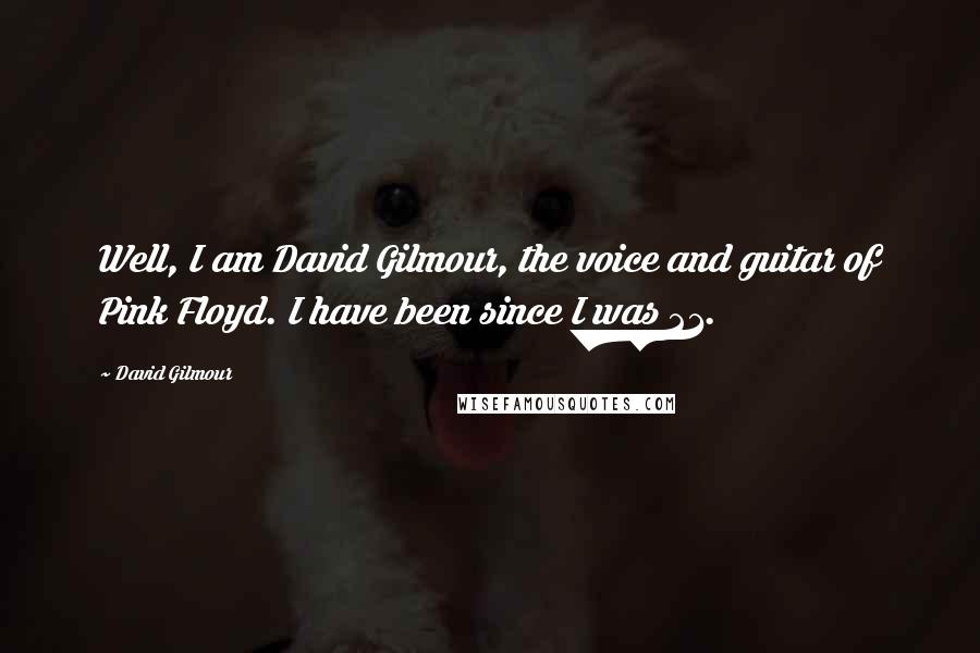 David Gilmour Quotes: Well, I am David Gilmour, the voice and guitar of Pink Floyd. I have been since I was 21.