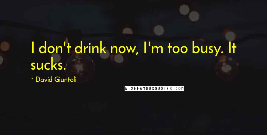 David Giuntoli Quotes: I don't drink now, I'm too busy. It sucks.