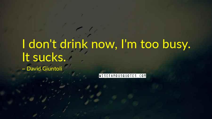 David Giuntoli Quotes: I don't drink now, I'm too busy. It sucks.