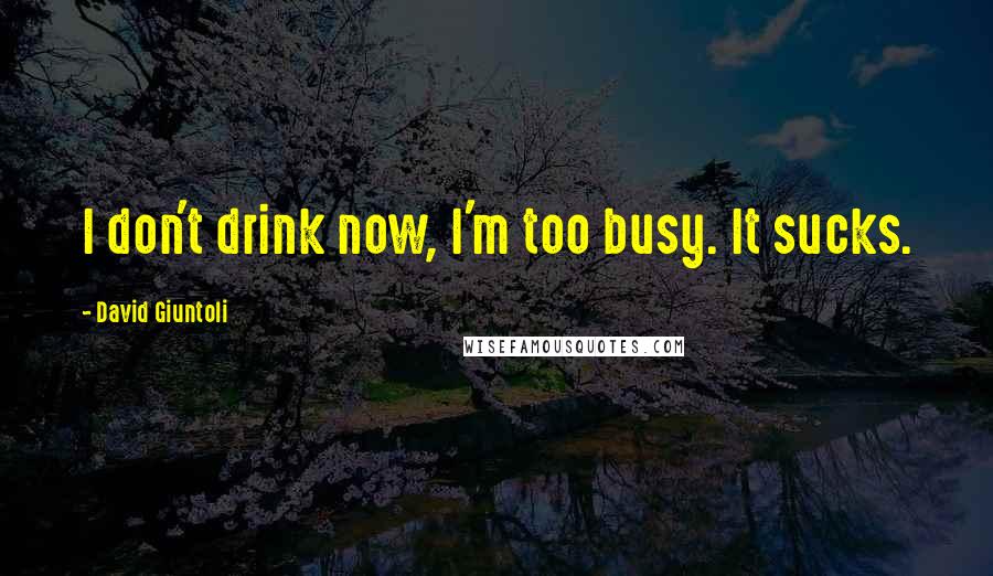 David Giuntoli Quotes: I don't drink now, I'm too busy. It sucks.