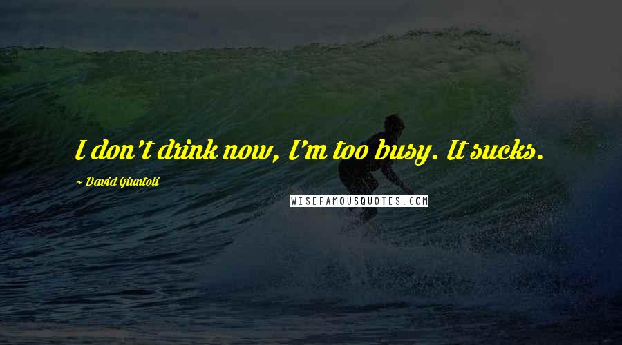 David Giuntoli Quotes: I don't drink now, I'm too busy. It sucks.