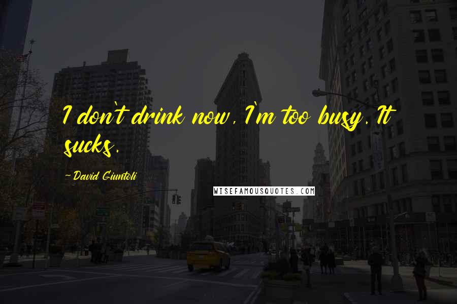 David Giuntoli Quotes: I don't drink now, I'm too busy. It sucks.