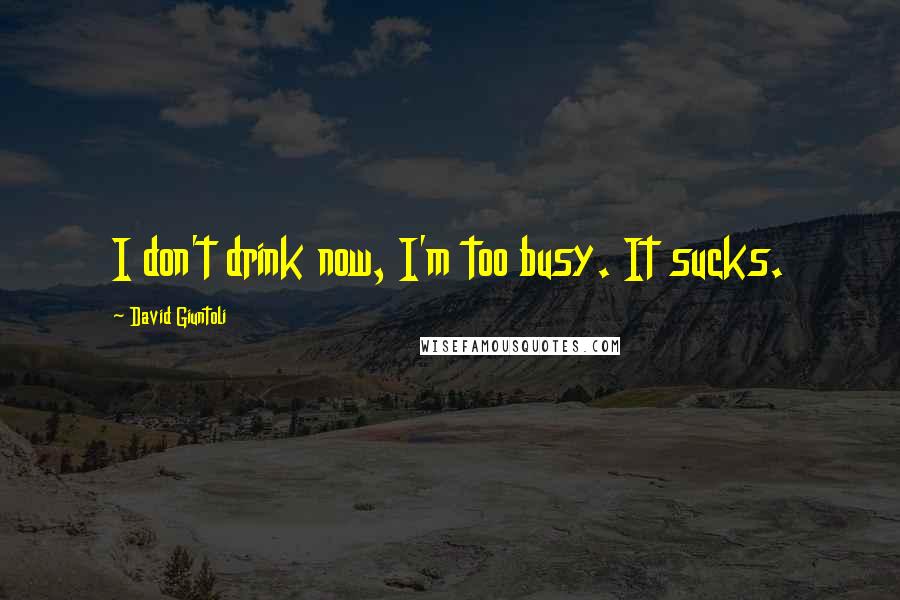 David Giuntoli Quotes: I don't drink now, I'm too busy. It sucks.