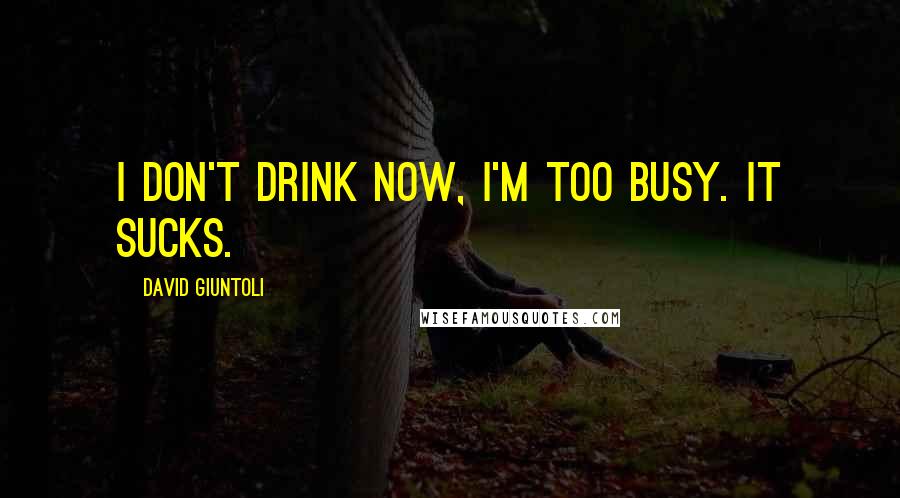 David Giuntoli Quotes: I don't drink now, I'm too busy. It sucks.