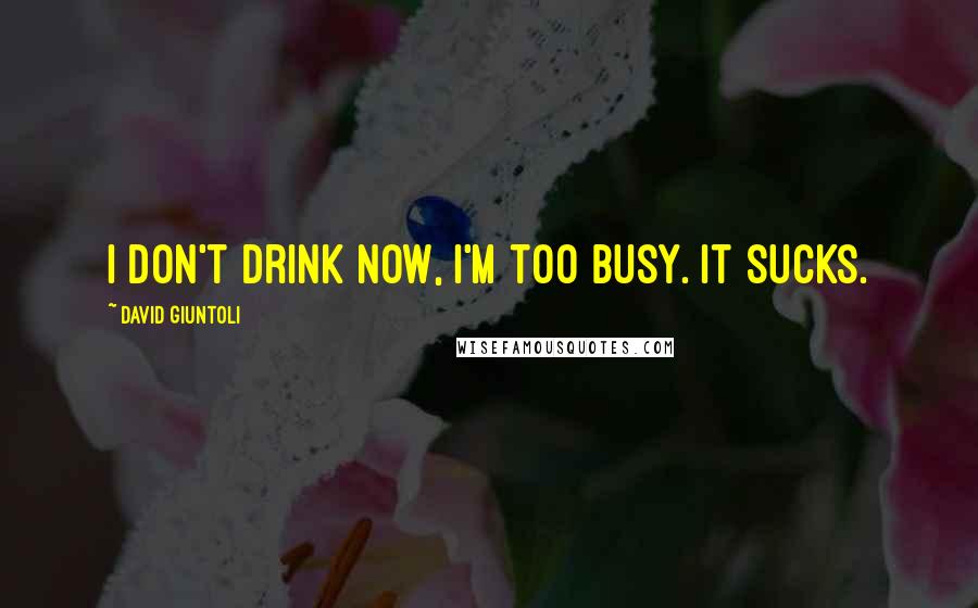 David Giuntoli Quotes: I don't drink now, I'm too busy. It sucks.