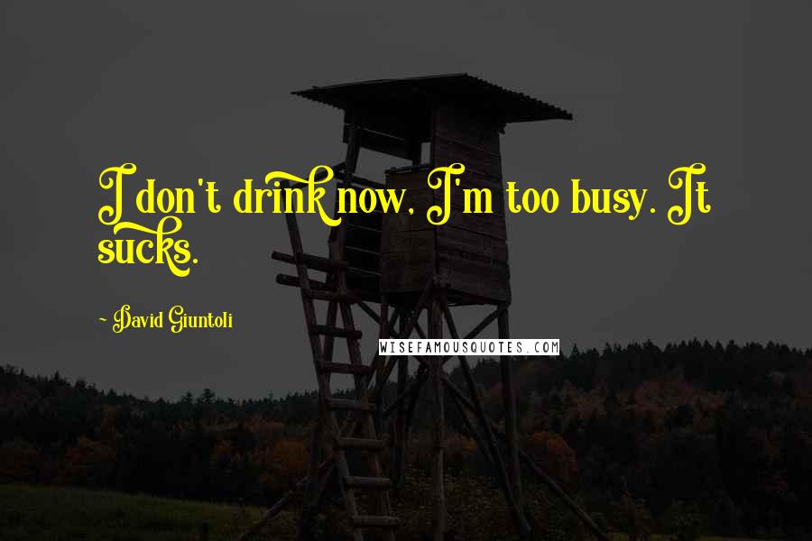 David Giuntoli Quotes: I don't drink now, I'm too busy. It sucks.