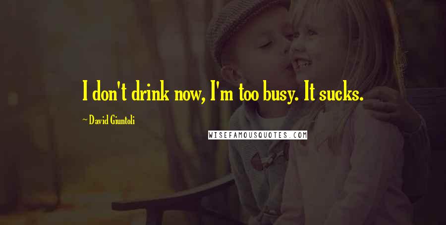 David Giuntoli Quotes: I don't drink now, I'm too busy. It sucks.