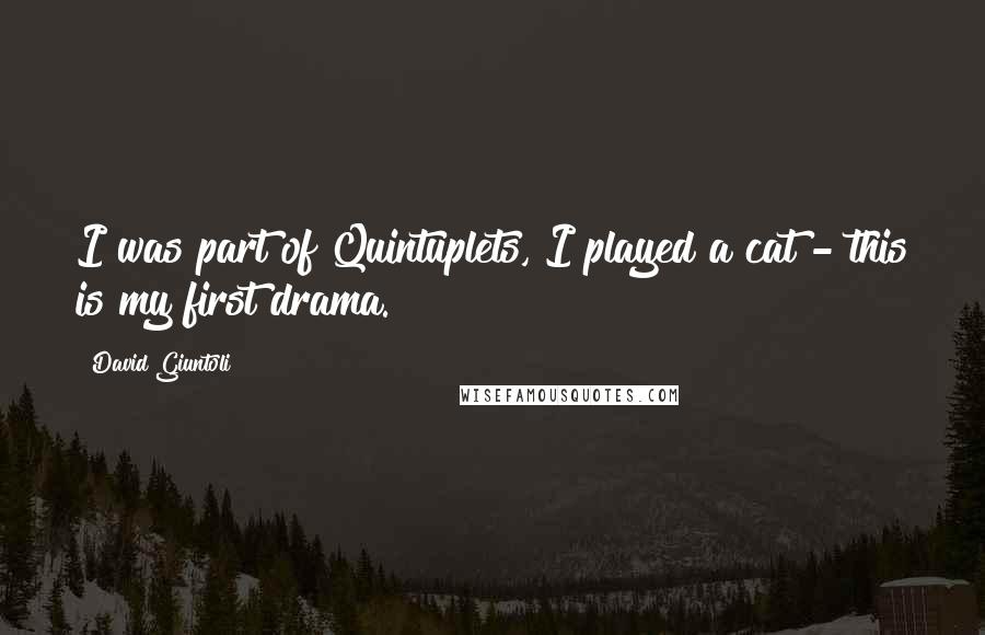 David Giuntoli Quotes: I was part of Quintuplets, I played a cat - this is my first drama.