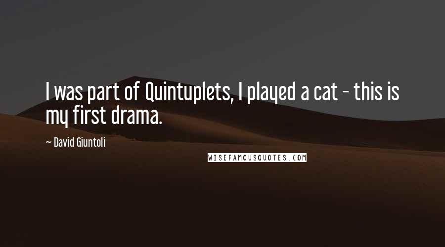 David Giuntoli Quotes: I was part of Quintuplets, I played a cat - this is my first drama.