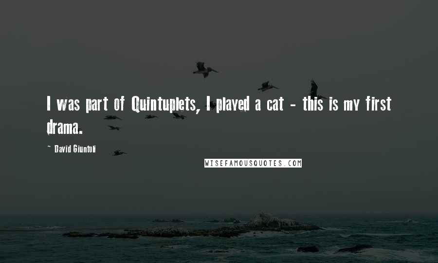 David Giuntoli Quotes: I was part of Quintuplets, I played a cat - this is my first drama.