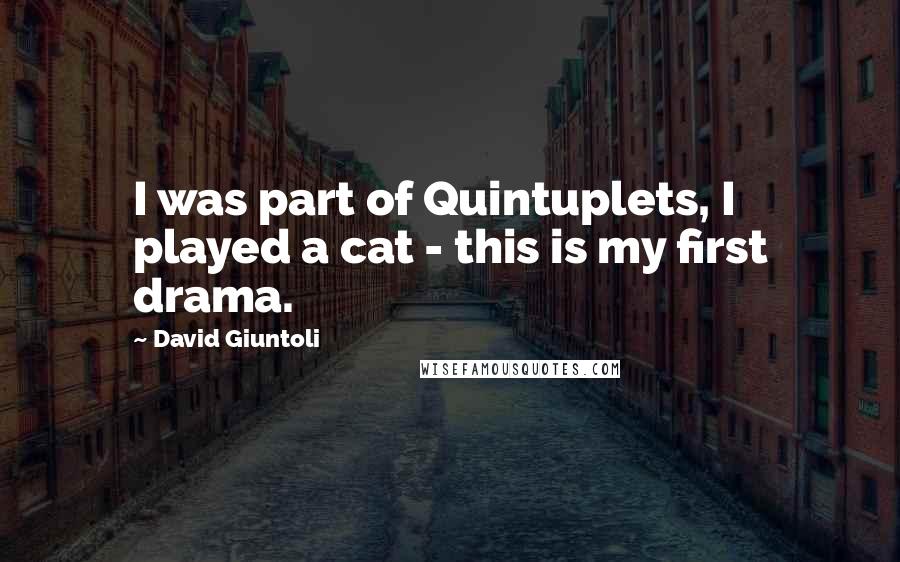 David Giuntoli Quotes: I was part of Quintuplets, I played a cat - this is my first drama.