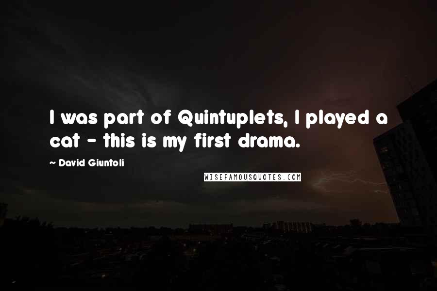 David Giuntoli Quotes: I was part of Quintuplets, I played a cat - this is my first drama.