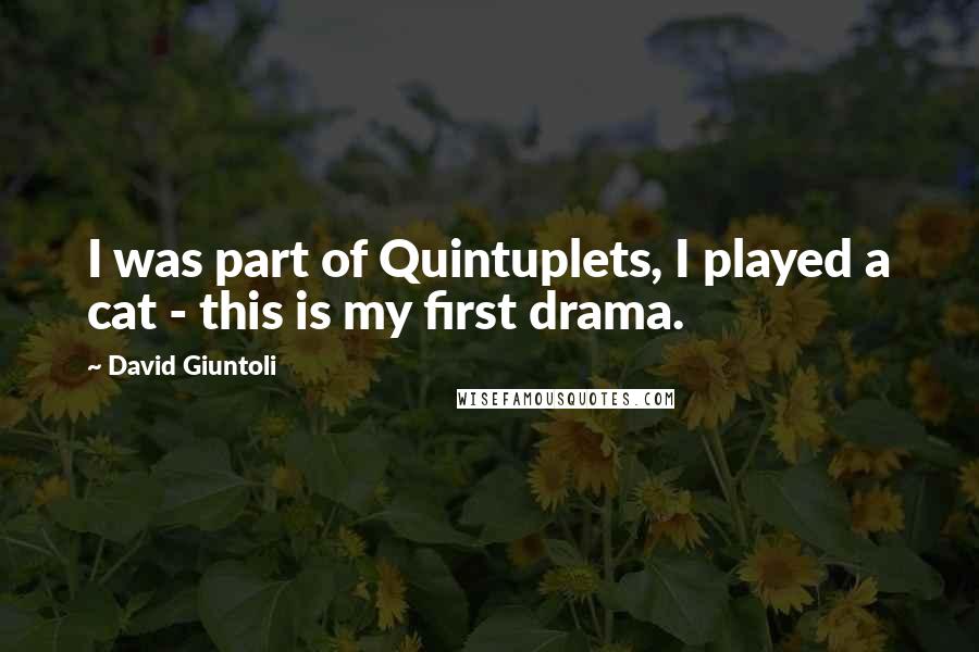 David Giuntoli Quotes: I was part of Quintuplets, I played a cat - this is my first drama.