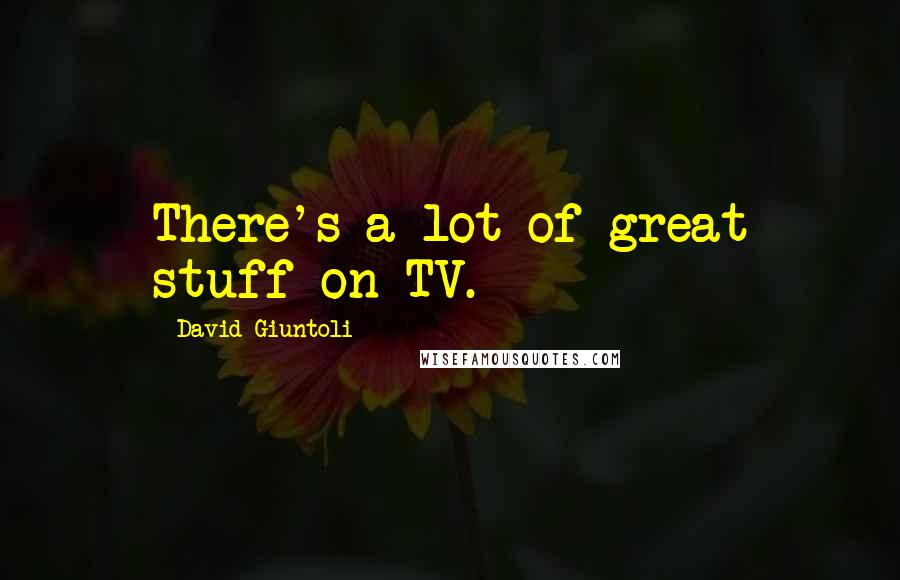 David Giuntoli Quotes: There's a lot of great stuff on TV.