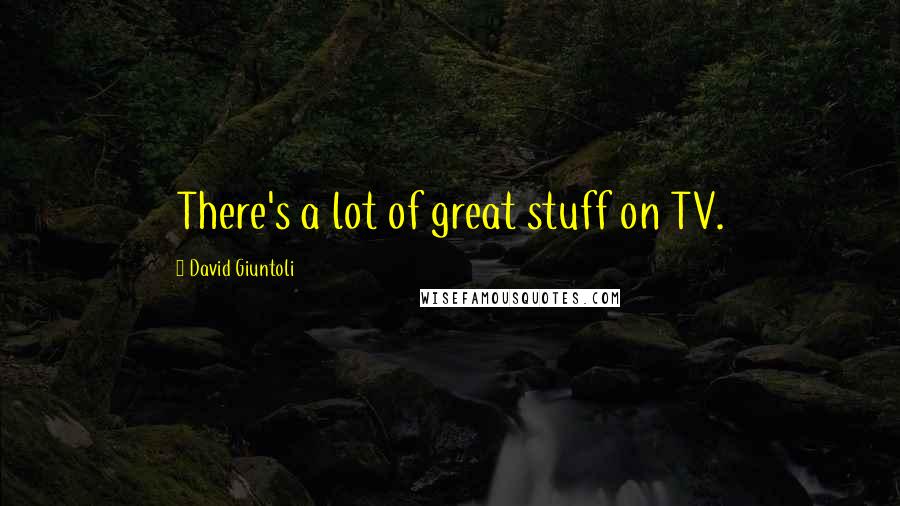 David Giuntoli Quotes: There's a lot of great stuff on TV.