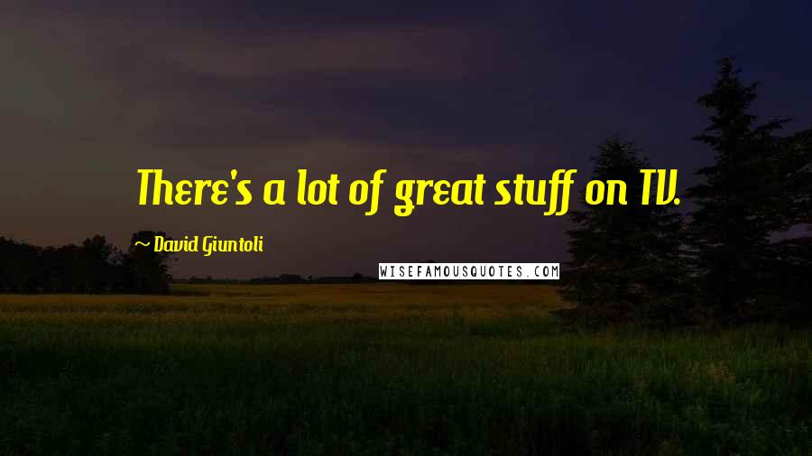 David Giuntoli Quotes: There's a lot of great stuff on TV.