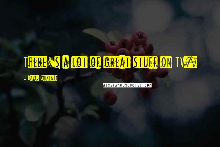 David Giuntoli Quotes: There's a lot of great stuff on TV.