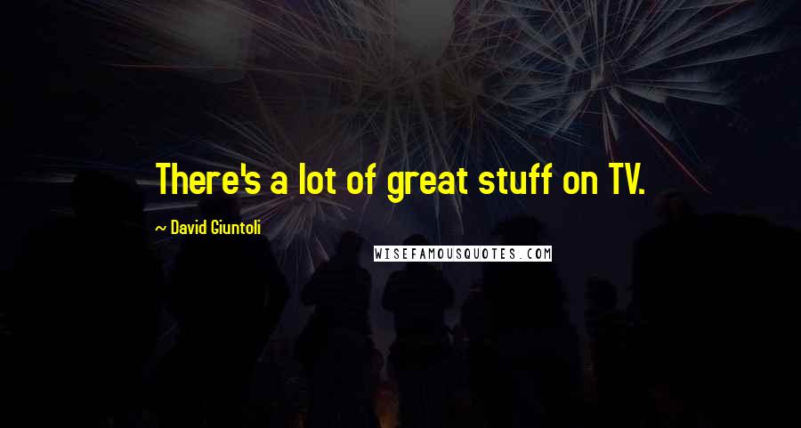 David Giuntoli Quotes: There's a lot of great stuff on TV.