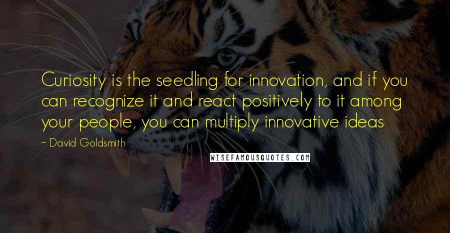 David Goldsmith Quotes: Curiosity is the seedling for innovation, and if you can recognize it and react positively to it among your people, you can multiply innovative ideas