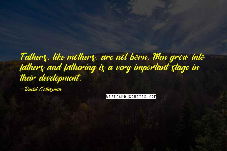 David Gottesman Quotes: Fathers, like mothers, are not born. Men grow into fathers and fathering is a very important stage in their development.