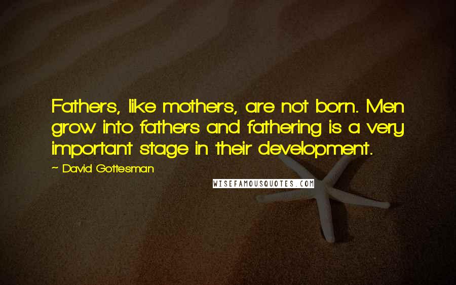 David Gottesman Quotes: Fathers, like mothers, are not born. Men grow into fathers and fathering is a very important stage in their development.