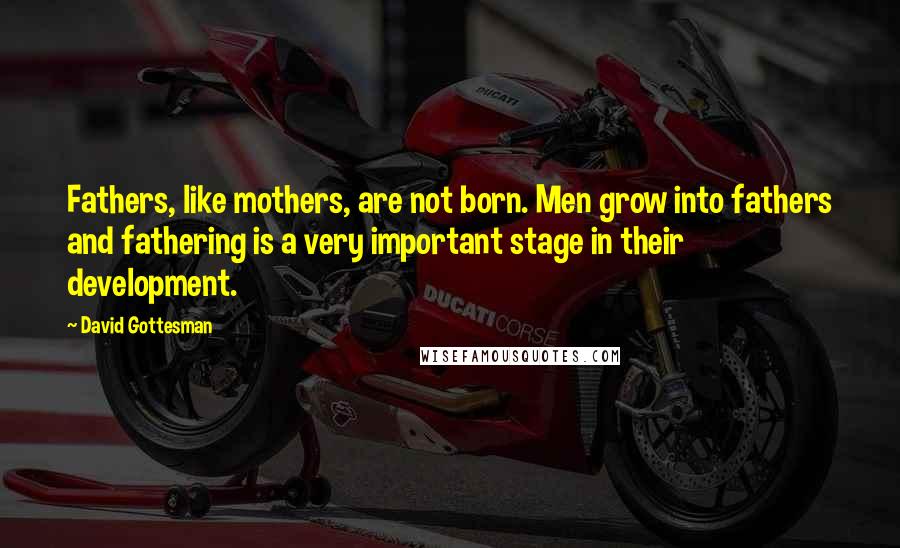David Gottesman Quotes: Fathers, like mothers, are not born. Men grow into fathers and fathering is a very important stage in their development.