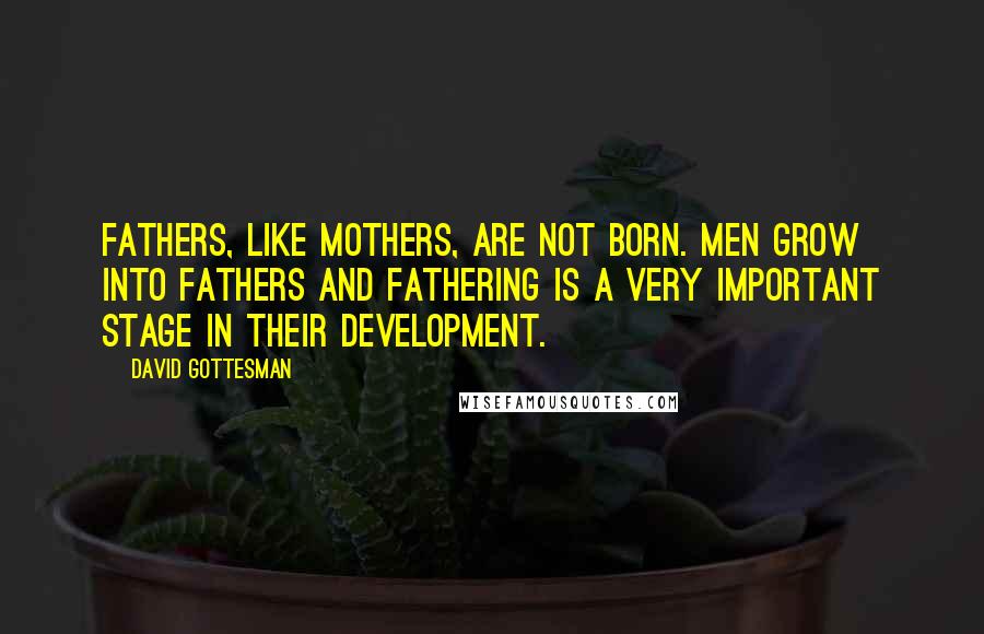 David Gottesman Quotes: Fathers, like mothers, are not born. Men grow into fathers and fathering is a very important stage in their development.