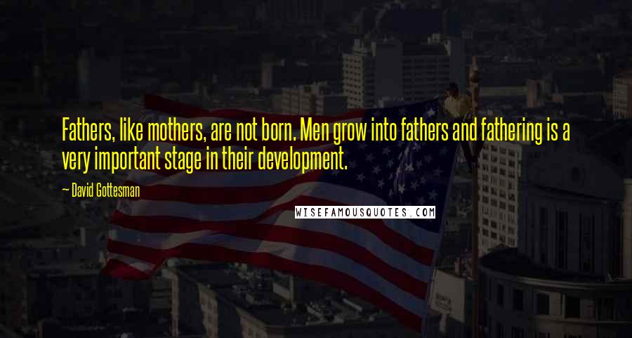 David Gottesman Quotes: Fathers, like mothers, are not born. Men grow into fathers and fathering is a very important stage in their development.
