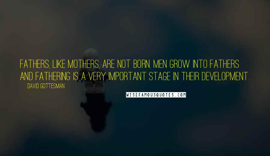 David Gottesman Quotes: Fathers, like mothers, are not born. Men grow into fathers and fathering is a very important stage in their development.