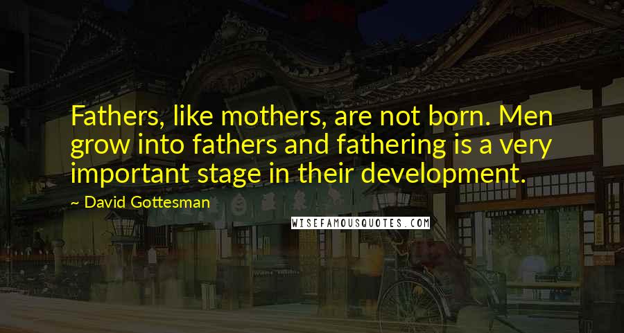 David Gottesman Quotes: Fathers, like mothers, are not born. Men grow into fathers and fathering is a very important stage in their development.