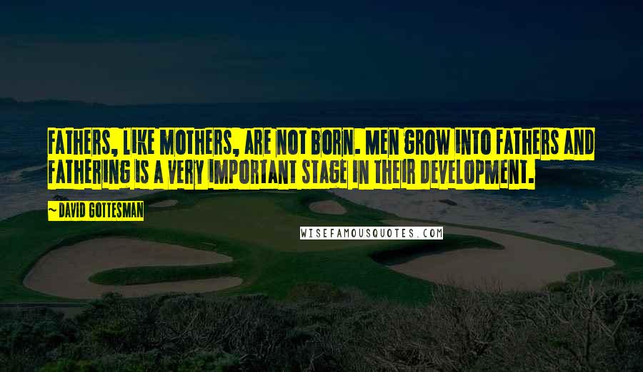 David Gottesman Quotes: Fathers, like mothers, are not born. Men grow into fathers and fathering is a very important stage in their development.