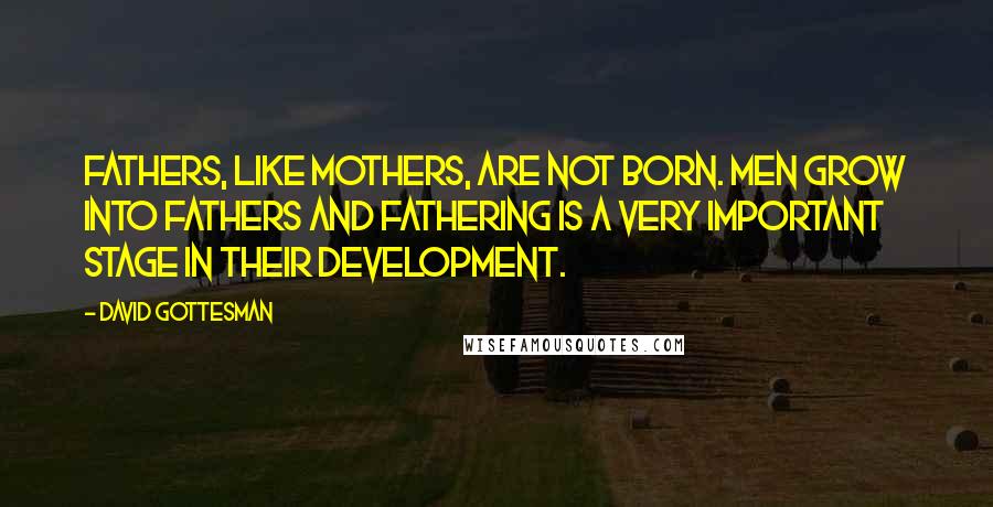 David Gottesman Quotes: Fathers, like mothers, are not born. Men grow into fathers and fathering is a very important stage in their development.